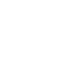 icon-fortinet-blanco